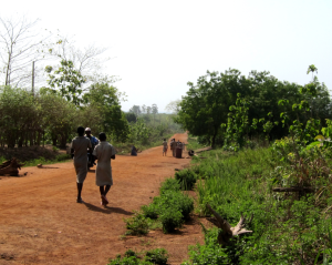 The dirt road leading to Ouesse in the central region of Benin